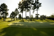 Scenic greens and open fairways.