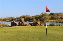 Of course elephants have right of way!